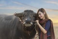 Asian girl in the countryside, playing with her Buffalo Royalty Free Stock Photo