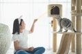 asian girl playing with american shorthair cat in the living room Royalty Free Stock Photo