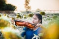 Asian girl playing violin in mist of sun flower field Royalty Free Stock Photo