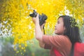 Asian girl take photo with blooming yellow flower Royalty Free Stock Photo