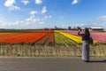 Asian girl tourist at the tulips farm Royalty Free Stock Photo