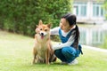 Asian girl are training for Shiba Inu dogs in the garden. An Asian girl plays with a Shiba Inu dog who has a picnic in the garden