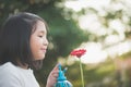 Asian girl watering a red flower in the garden Royalty Free Stock Photo