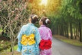 Asian girlfriends looking at pink flowers Royalty Free Stock Photo