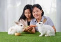 Asian grandma is teaching granddaughter to feed bunny with carrots and baby corn Royalty Free Stock Photo