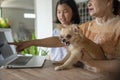 Asian grandmother and Kid using laptop together. Thai Elderly Woman and Child talk on video call and learn online study at home.