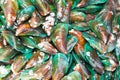 Asian Green mussel Royalty Free Stock Photo