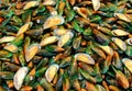 Asian green mussel on street market Royalty Free Stock Photo