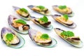 Asian green mussels