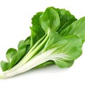 Asian Greens Galore Iconic Bok Choy Varieties for Healthy Eaters