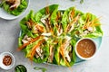 Asian grilled chicken ginger lettuce wraps Royalty Free Stock Photo