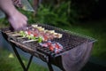 Asian group of friends having outdoor garden barbecue laughing w Royalty Free Stock Photo