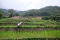 Asian hill tribe woman wearing tribal clothing and local hut village on terraced paddy rice fields on mountain in the countryside