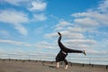 Asian hip-hop man dancer making a backdancing stunts outdoor on the roof Royalty Free Stock Photo