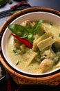 Asian home cooking Concept Thai chicken and baby bamboo Green curry on black background with copy space