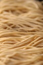 Asian Homemade Raw Noddle Royalty Free Stock Photo