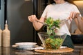 Asian housewife preparing fresh vegetables to make salad at home kitchen counter Royalty Free Stock Photo