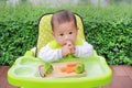 Asian infant baby boy eating by Baby Led Weaning BLW. Finger foods concept