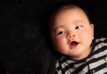 Asian infants Royalty Free Stock Photo