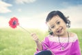 Asian kid brings garbera flower on meadow with sunlight. Summer or spring concept. Royalty Free Stock Photo