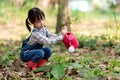 Asian kid plant sapling tree outdoors in nature spring for reduce global warming growth feature and take care nature earth. Royalty Free Stock Photo