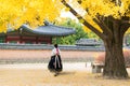 Asian Korean woman dressed Hanbok in traditional dress walking in Gyeongbokgung Palace in autumn season at Seoul, South Korea Royalty Free Stock Photo