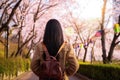 Asian lady travel in cherry blossom park in Seoul city