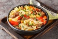 Asian Lagman soup with lamb, homemade noodles and vegetables closeup on the plate. Horizontal Royalty Free Stock Photo