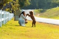 Asian lifestyle woman playing and happy with golden retriever friendship dog in sunrise outdoor Royalty Free Stock Photo