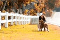 Asian lifestyle woman playing and hug young golden retriever friendship dog in outdoor Royalty Free Stock Photo