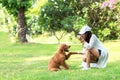 Asian lifestyle woman playing with young golden retriever friendship dog in outdoor Royalty Free Stock Photo