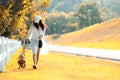 Asian lifestyle woman walking so happy with golden retriever friendship dog Royalty Free Stock Photo