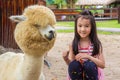 Asian littel girl taking a photo with alpaca in the park,child travel in the zoo to enjoy the alpaca in summer