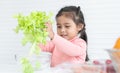 Asian little child girl is cooking in kitchen, using hands holding green vegetable salad from bowl with smiling face while Royalty Free Stock Photo