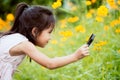 Asian little child girl looking through a magnifying glass Royalty Free Stock Photo