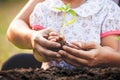 Asian child girl and parent holding and planting young seedlings in the black soil together in the garden