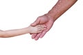 Asian little child girl shaking hands old  man right hand  isolated on white background , clipping path Royalty Free Stock Photo