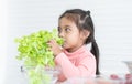 Asian little child girl is smelling green vegetable, using hands holding salad from bowl with happy face at home while preparing Royalty Free Stock Photo