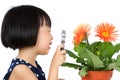 Asian Little Chinese Girl Looking at Flower through a Magnifying Royalty Free Stock Photo
