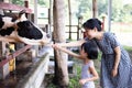 Asian Little Chinese Girl and mother feeding a cow with Carrot Royalty Free Stock Photo