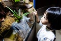 Asian Little Chinese Girl watching insects