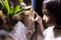Asian Little Chinese Girl watching insects