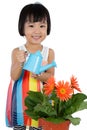 Asian Little Chinese Girl Watering Flower Royalty Free Stock Photo