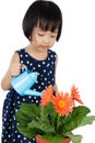 Asian Little Chinese Girl Watering Flower Royalty Free Stock Photo