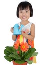 Asian Little Chinese Girl Watering Flower Royalty Free Stock Photo