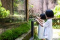 Asian Little Chinese Sisters watching animals