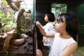 Asian Little Chinese Sisters watching insects
