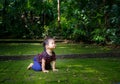 Asian little girl crawling on green floor Royalty Free Stock Photo