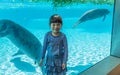 Manatees in the zoo with little girl Royalty Free Stock Photo