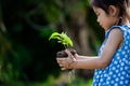 Asian little girl holding young tree for prepare plant on ground Royalty Free Stock Photo